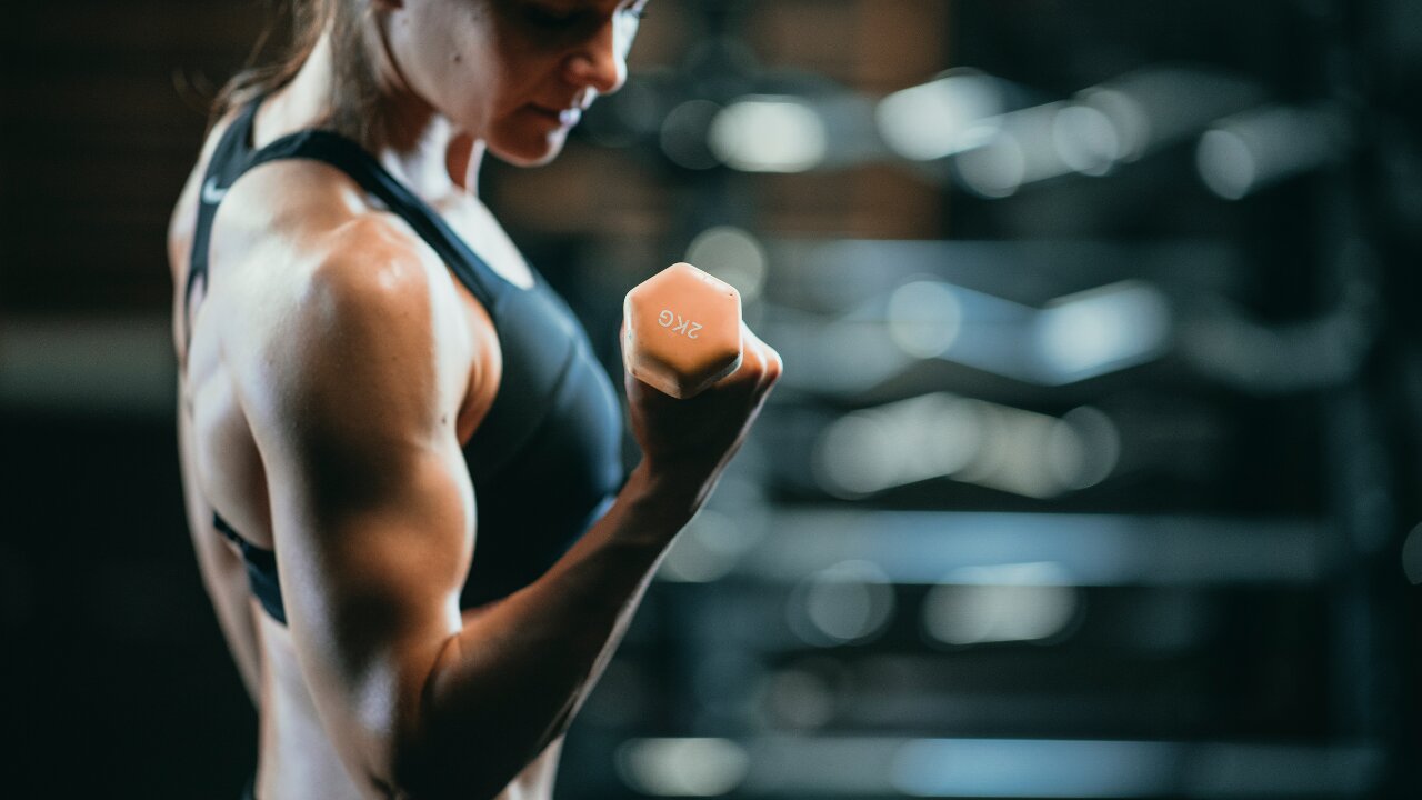 Frases motivacionais academia